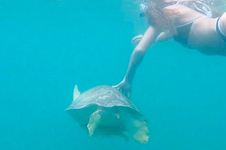 a person swimming in the water